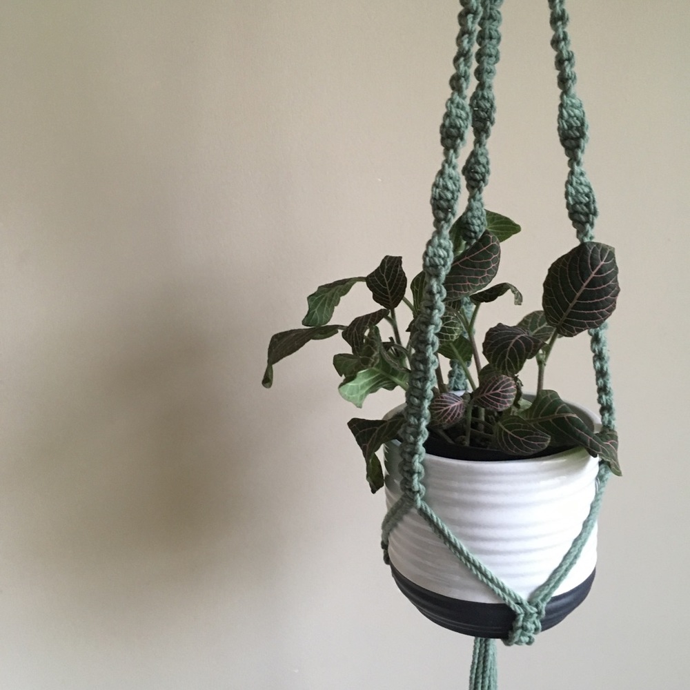 Handmade Macrame Plant Hanger Sage Green